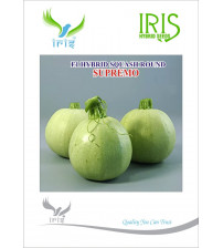 Squash Round Iris F1 Supremo 50 grams